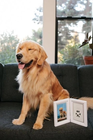 Pearhead Ramka z Atramentowym Odciskiem Łapy Pupil Stojąca White