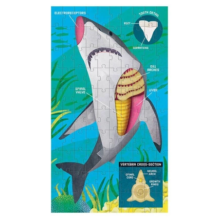 Mudpuppy Puzzle edukacyjne 3w1 Anatomia zwierząt 100 elementów 6+