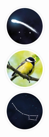 Mini sciences - TELESKOP 9004