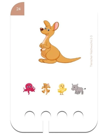 WiemTo Karty Zwierzęta i ich Dzieci 2-3 Latka