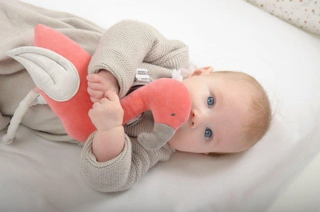 Pozytywka, Flaming, Kikadu