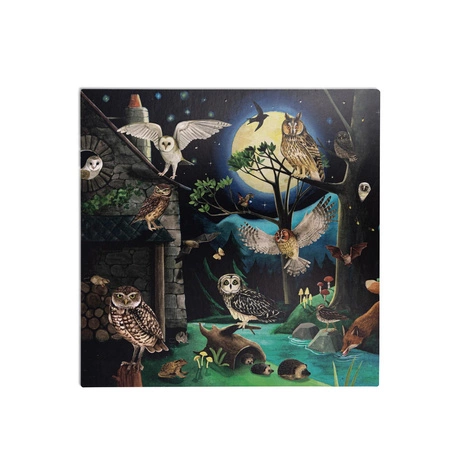 Pudełko "ODKRYWCY PTAKÓW" Moulin Roty 712151