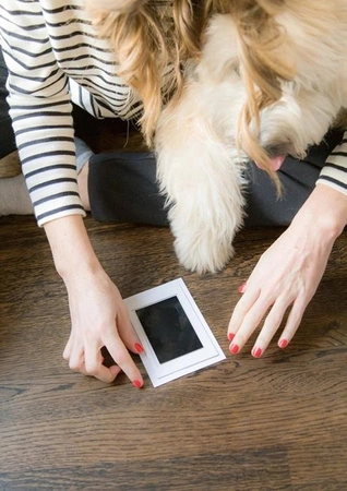 Pearhead Atramentowy Odcisk Łapy Clean-Touch