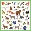 Naklejki FAUNA DJ09285