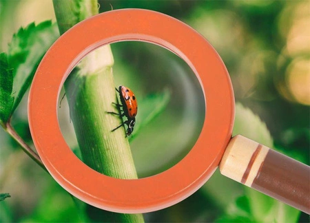 Pas z narzędziami dla małego odkrywcy Discover Small Foot 12337