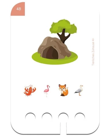 WiemTo Karty dla Dzieci 4+ Gdzie Mieszkają Zwierzęta