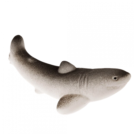 Rekin wykluwający się z jajka, zestaw kreatywny, Ocean, 3+, Rex London