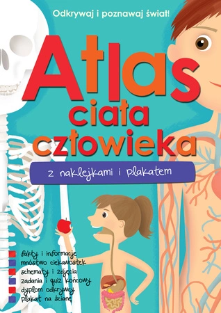 Atlas ciała człowieka z naklejkami i plakatem