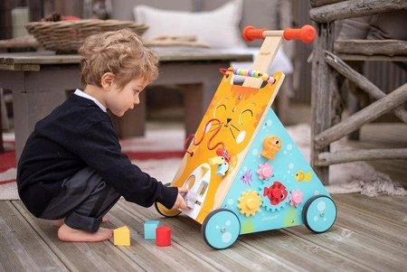 Wielofunkcyjny pchacz edukacyjny Kot, Janod