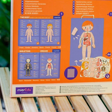 mierEdu Zabawa magnetyczna - Ciało człowieka ME0511