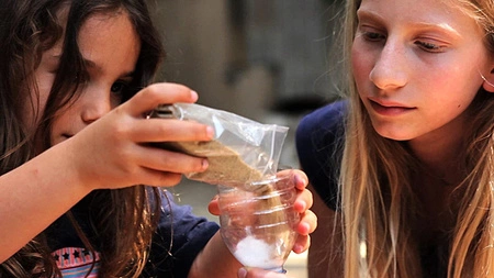 Zestaw do robienia eksperymentów The Purple Cow - Szkoła Przetrwania