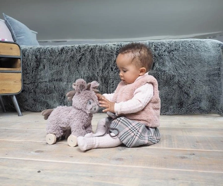 Little Bird Told Me Osiołek do Ciągnięcia