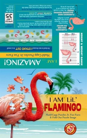 MADD CAPP, Puzzle konturowe I AM LIL' - Flaming 100 elem.