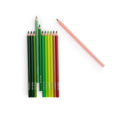 Zestaw 12 kredek NATURA z kartami 712615