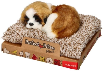 Szczekający Mini Bernardyn na legowisku