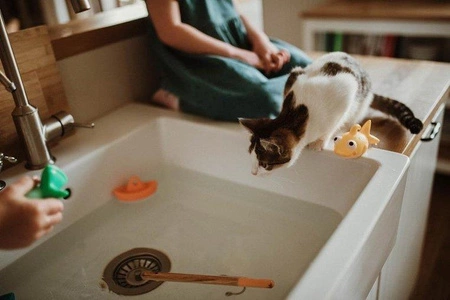 Zestaw do wędkowania w kąpieli 2+, Janod