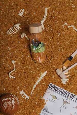Petit Boum, Butelka obserwacyjna - dinozaury JURASSIC