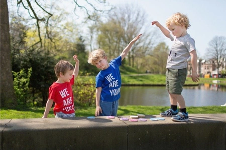 BS Toys, Gra pamięciowa Zgadnij i zapamiętaj
