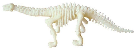 Bones&More, Duży szkielet dinozaura - wykopalisko odcisk łapy