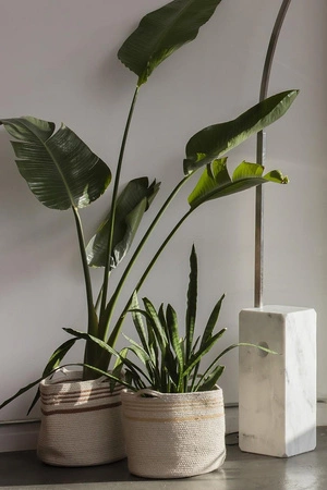 Kosz Dekoracyjny Twin Toffee Lorena Canals