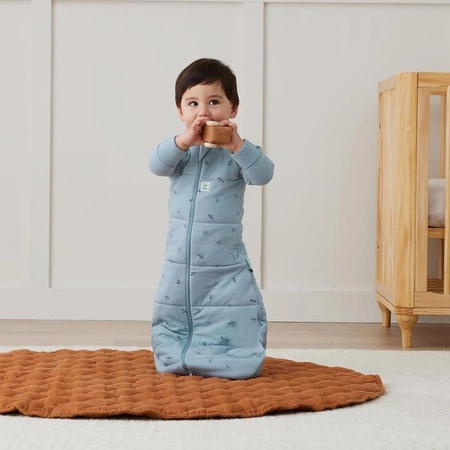 ergoPouch Śpiworek Jersey z Rękawami 8-24M 3.5TOG Dragonflies