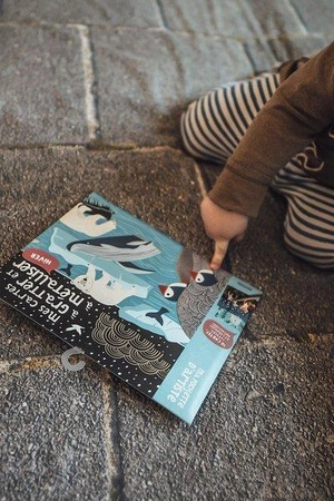 Auzou Wydrapywanka Zaczarowane zwierzątka 5+ 502375