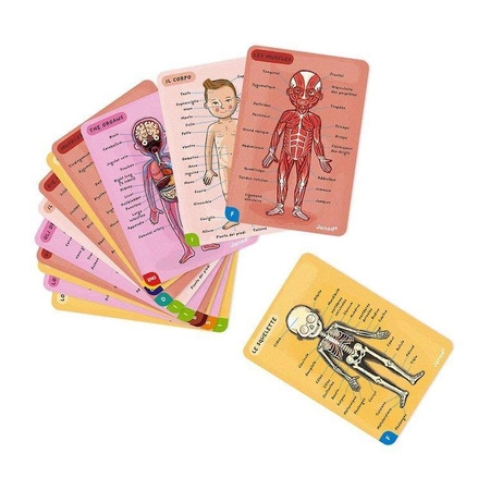 Układanka magnetyczna Ciało człowieka, Janod