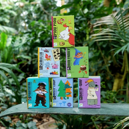 Gra karciana MINI FAMILY DJ05101