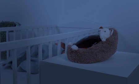 Zazu HENRY Projektor Zachodzącego Słońca Jeż