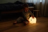 MrMaria Elephant First Lamp MIDI DB30EL
