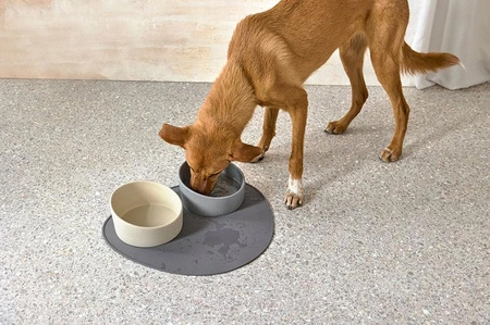 PALOPA Miska dla psa porcelanowa Cali grey