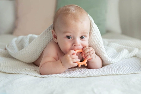 Gryzak Kurczak brzoskwiniowy Giligums