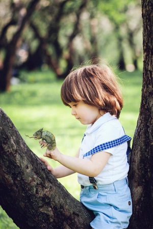 mierEdu Puzzle 3D mini - Kameleon ME4111