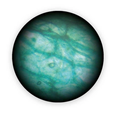 Mikroskop cyfrowy 3 w 1 MR700