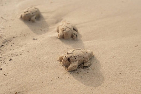 Little Dutch Zestaw do piasku 3 el. Sailors Bay 2010589