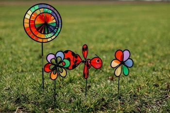 Wiatraczek tęczowy kwiatek