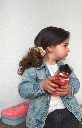 Lassig Zestaw na lunch Lunchbox + Tritanowa butelka - bidon 460 ml About Friends Dinozaur różowy