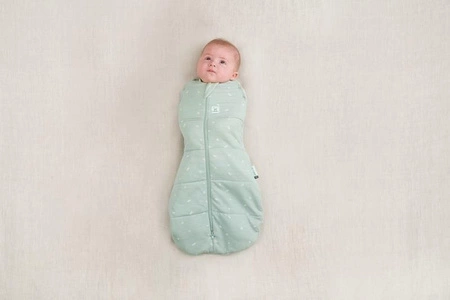 ergoPouch Otulacz Śpiworek 6-12M 2.5TOG