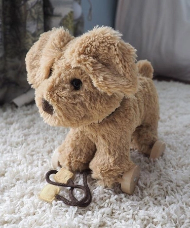 Little Bird Told Me Piesek Do Ciągniecia Dexter