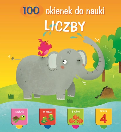 Liczby. 100 okienek do nauki