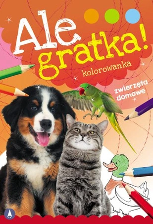 Zwierzęta domowe. Ale Gratka!