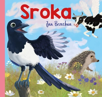 Sroka