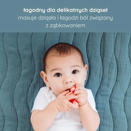 Ubbi Gryzaki Silikonowe 5 Zabawek do Łączenia