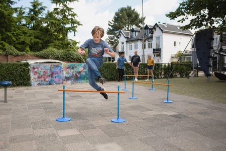 BS Toys, Gra sportowa 2w1 Limbo/skok przez płotki