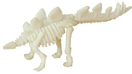 Bones&More, Duży szkielet dinozaura - wykopalisko odcisk łapy