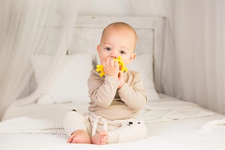 GRZECHOTKA JELEŃ GILIGUMS