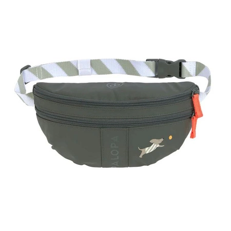 PALOPA Torebka nerka na smakołyki dla psa mini Enja dark olive