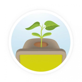 Mała szklarnia - obserwacja wzrostu roślinki M001