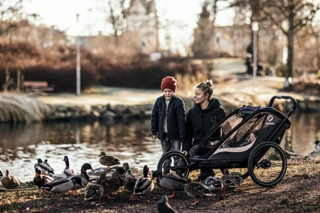 Hamax - Przyczepka rowerowa COCOON, podwójna - Grey/black