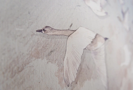 DREAM Kids Beige- Tapeta W Chmury I Ptaki Malumi